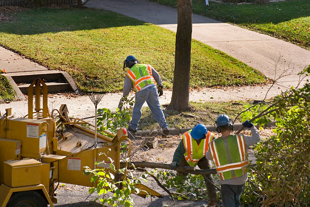  Valparaiso, IN Tree Removal Pros