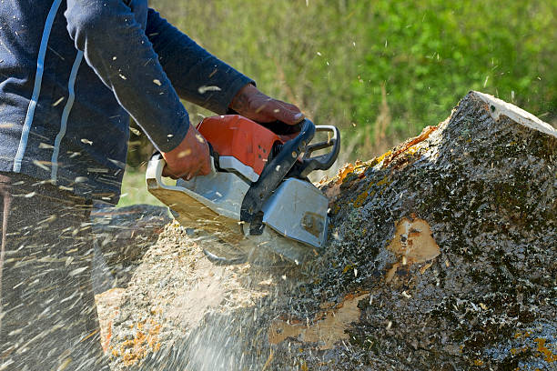 Best Weed Control  in Valparaiso, IN